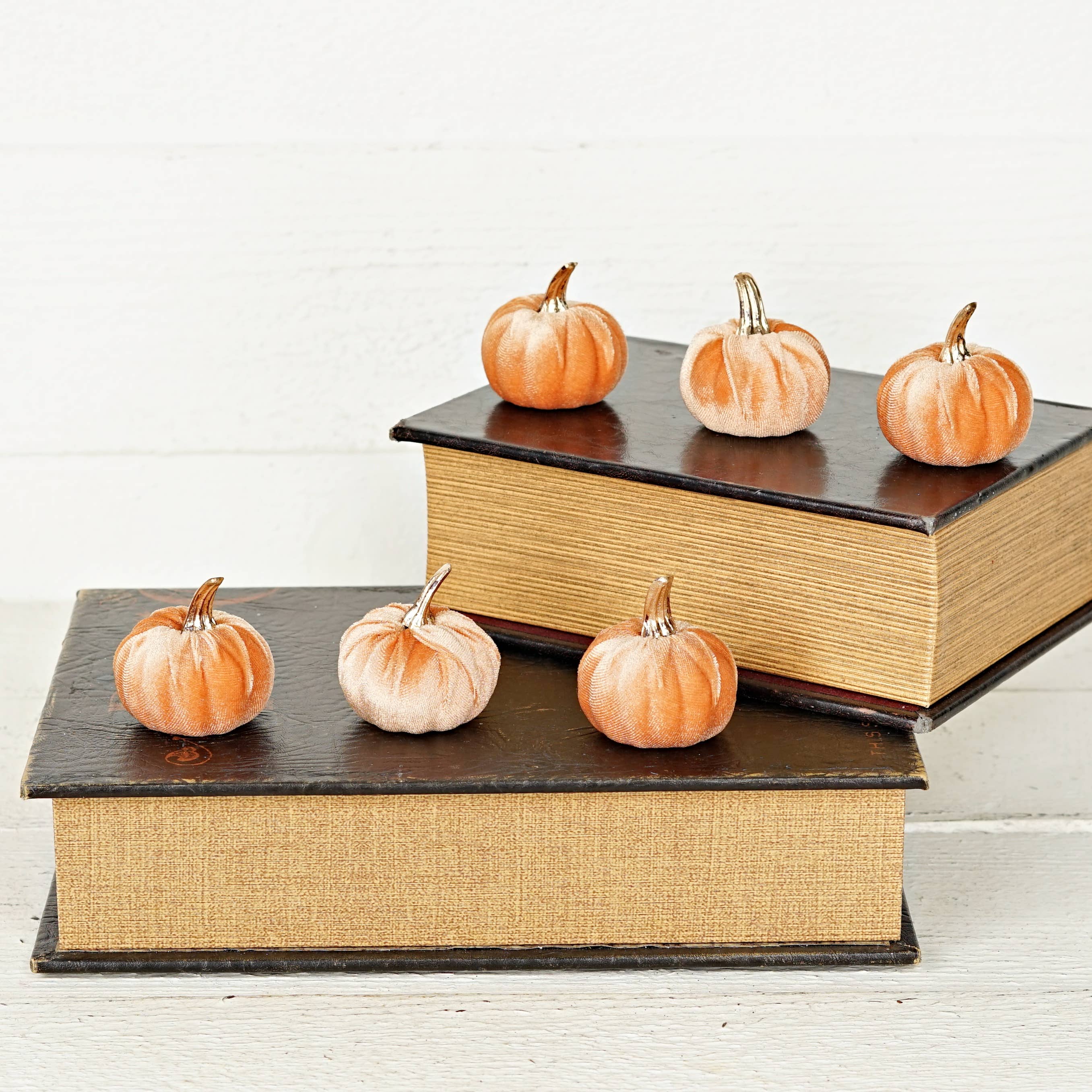 31346- Bag of 6 velvet 2in pumpkins w.golden stem-PEACH-