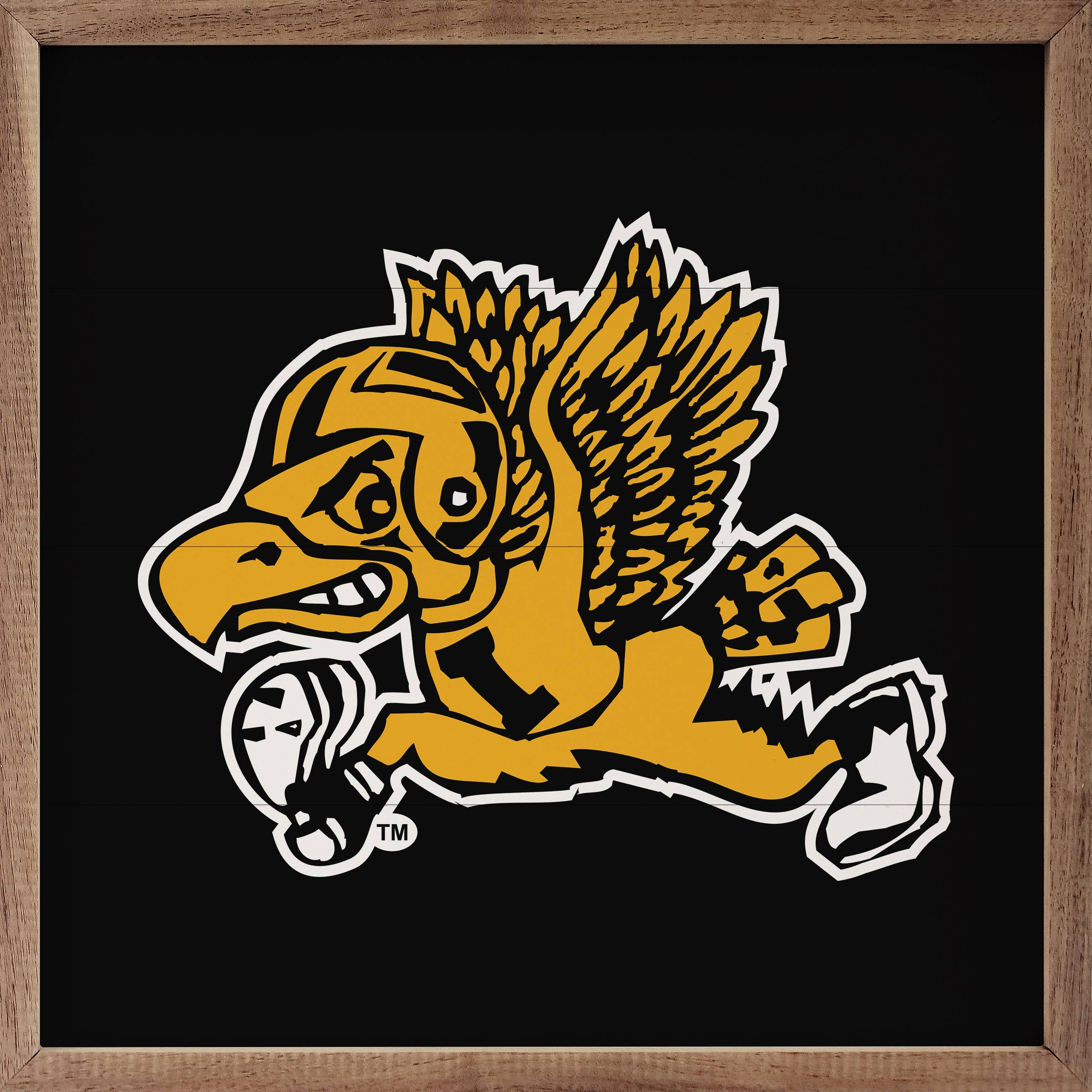 Vintage Running Football Herky University Of Iowa Black
