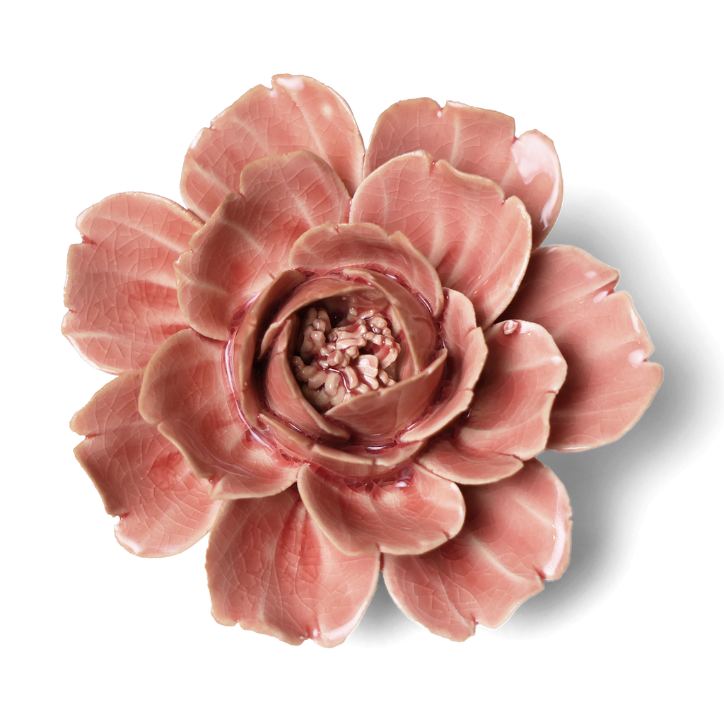 Champagne Pink Rose Mothers Day Boxed Gifts In Pretty Boxes