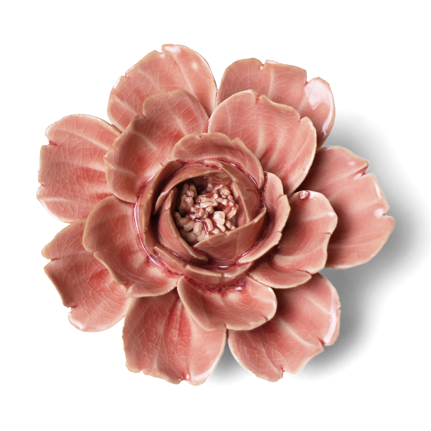 Champagne Pink Rose Mothers Day Boxed Gifts In Pretty Boxes