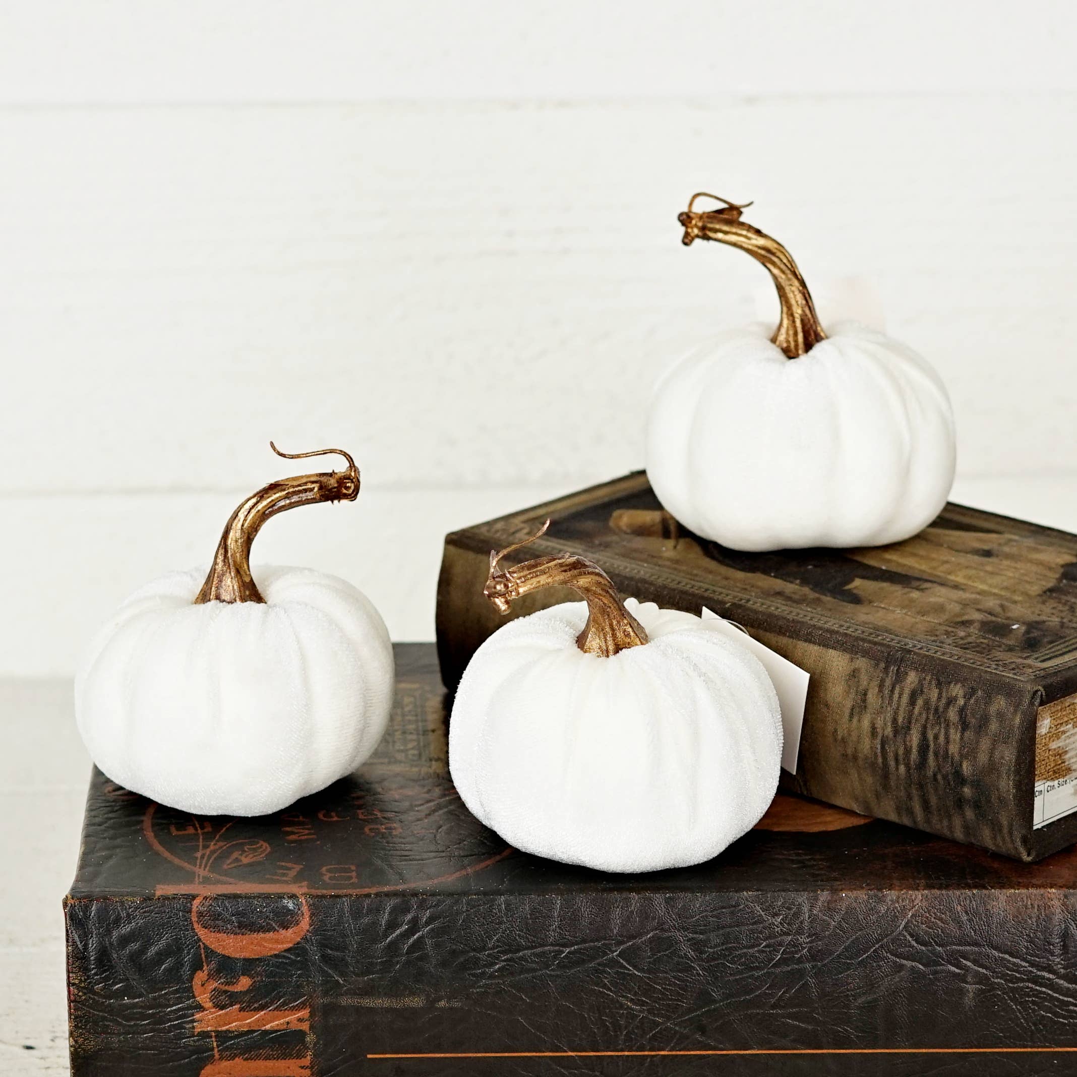 29436-4in velvet pumpkin w. golden stem-Cream