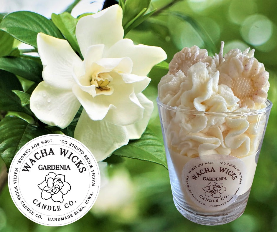 Wacha Wicks Gardenia