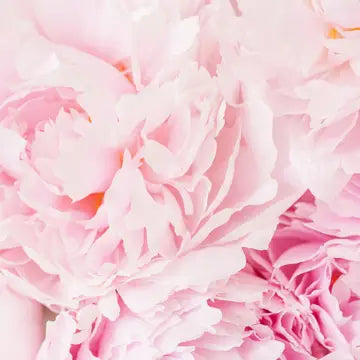 Milkhouse Candle Co. - Pink Peony
