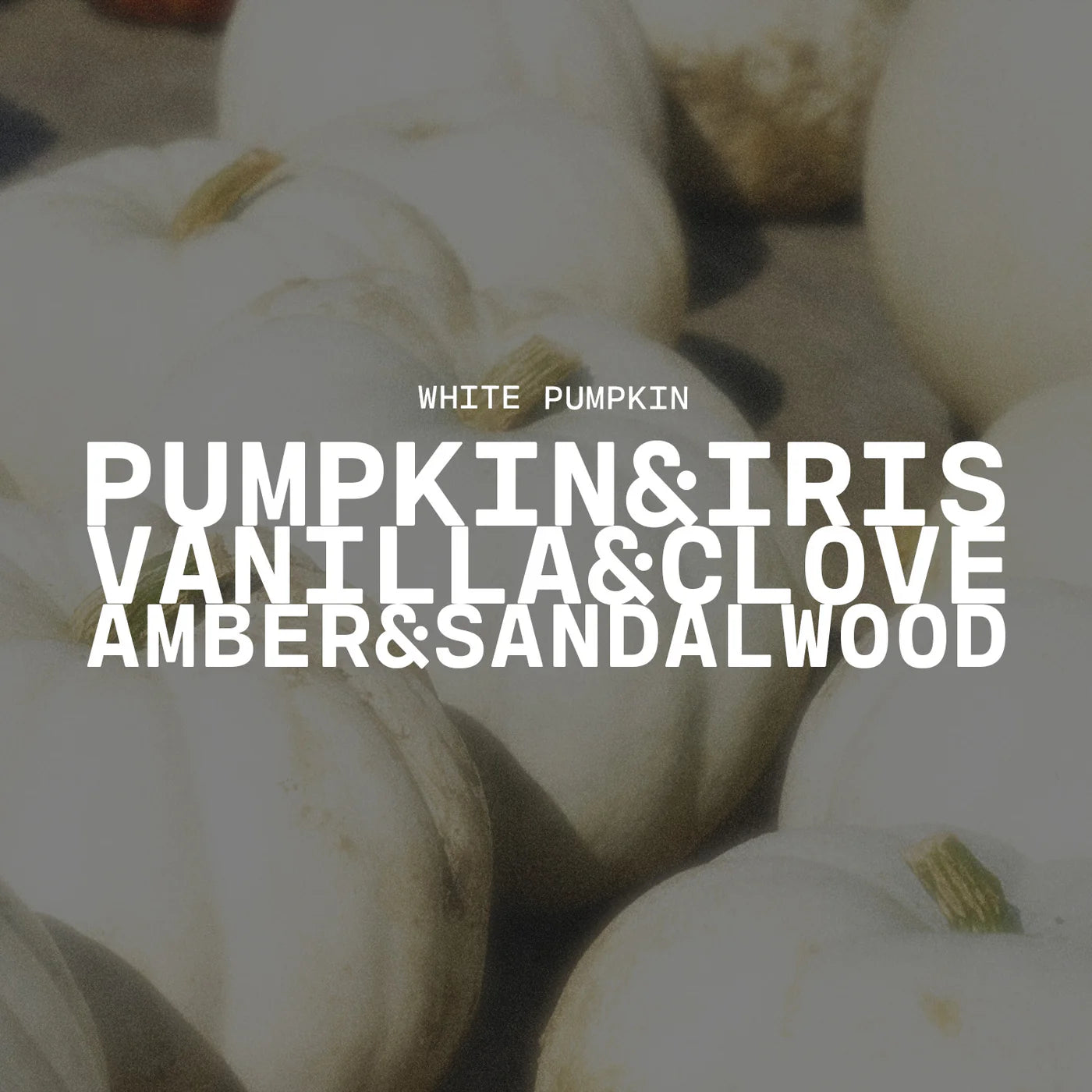 Milkhouse Candle Co. - White Pumpkin