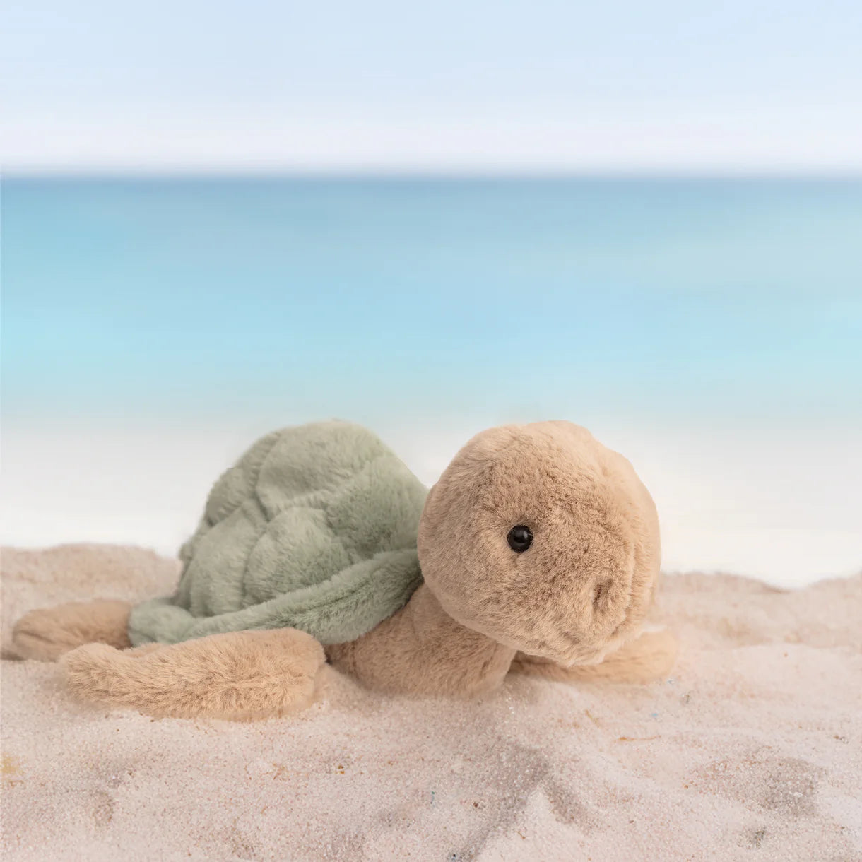 Bukowski Bears - Sandy (turtle)