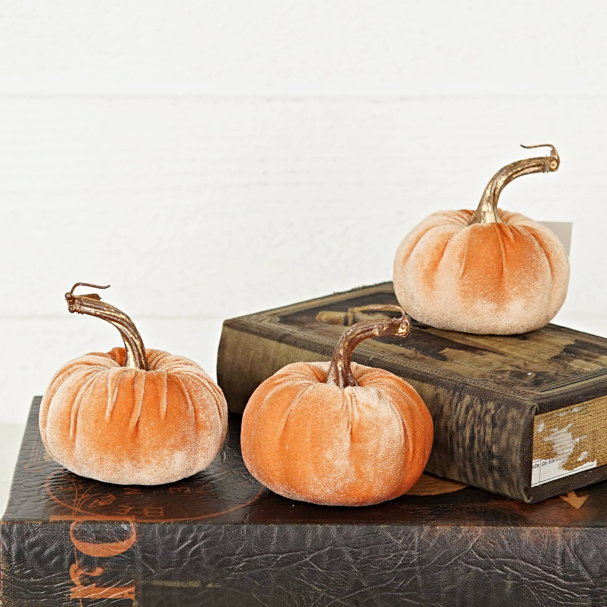 29432-4in Velvet Pumpkin w. Golden Stem-Peach