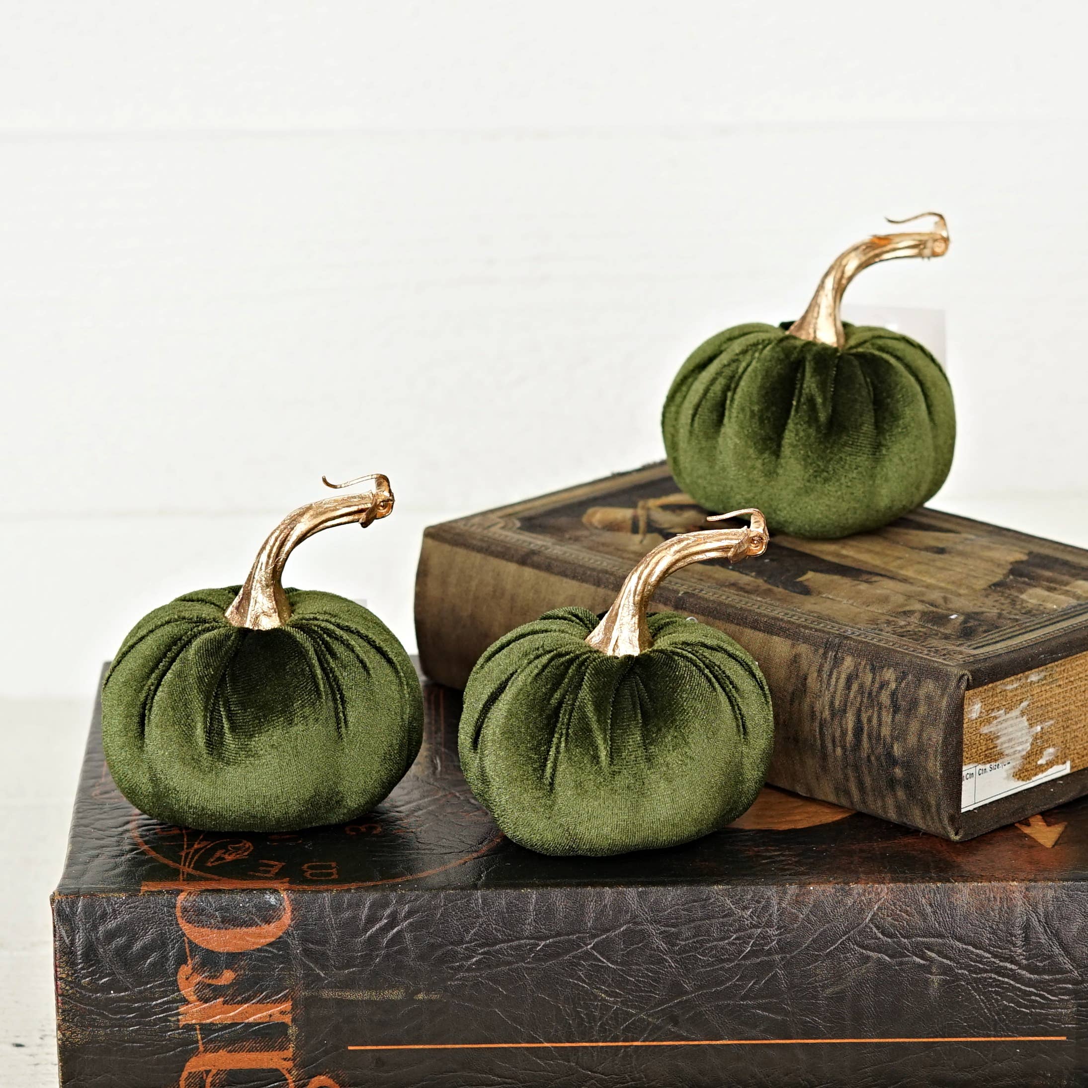 29435-4in velvet pumpkin w. golden stem-Green