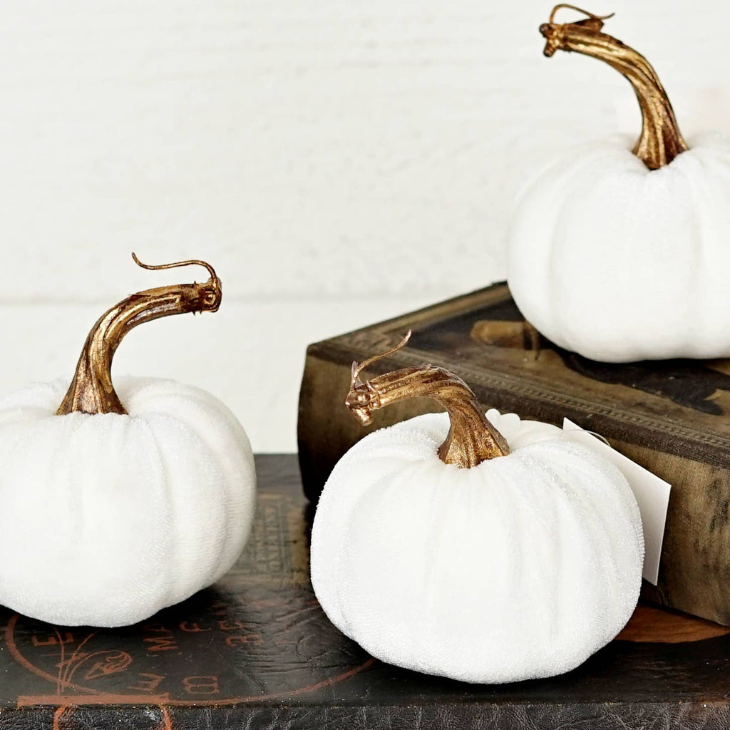 29436-4in velvet pumpkin w. golden stem-Cream