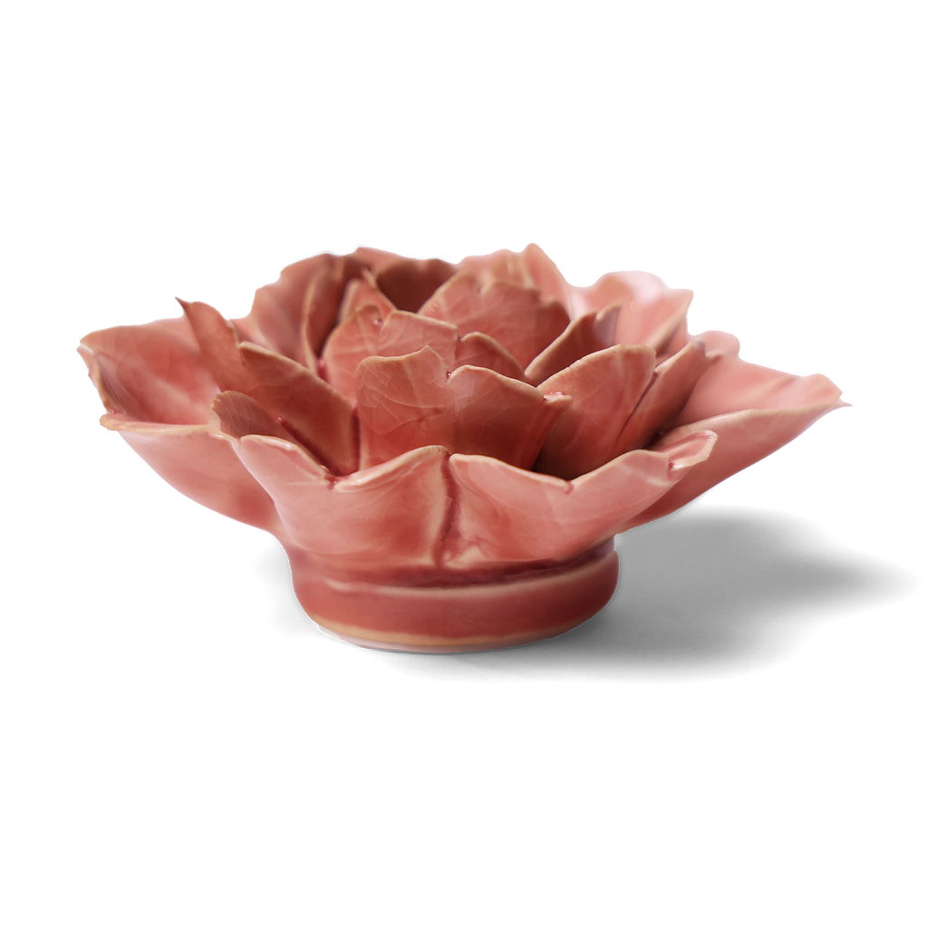 Champagne Pink Rose Mothers Day Boxed Gifts In Pretty Boxes