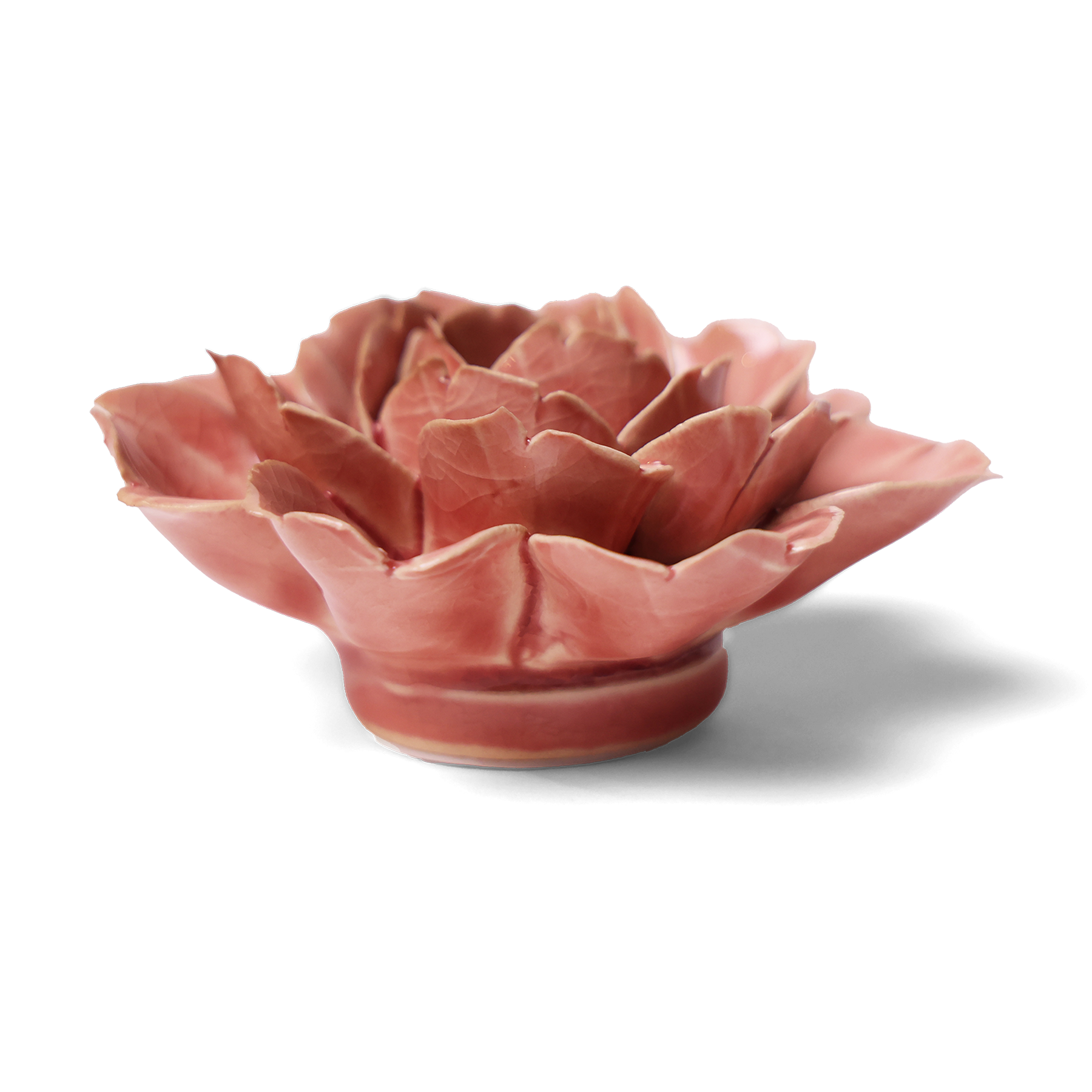 Champagne Pink Rose Mothers Day Boxed Gifts In Pretty Boxes