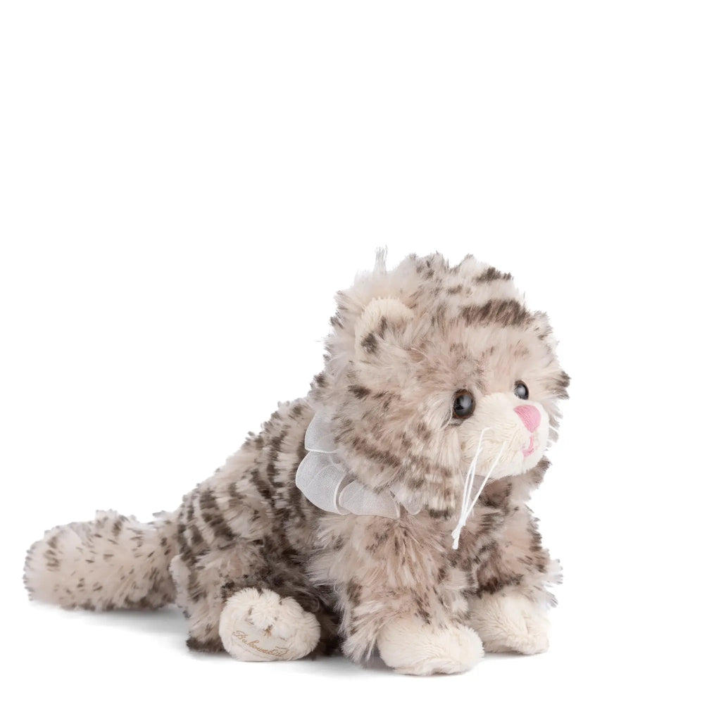 Little Maciek - Plush Gray Kitten